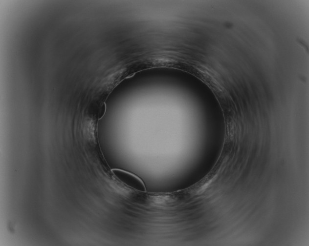 X0000091940575200709191422