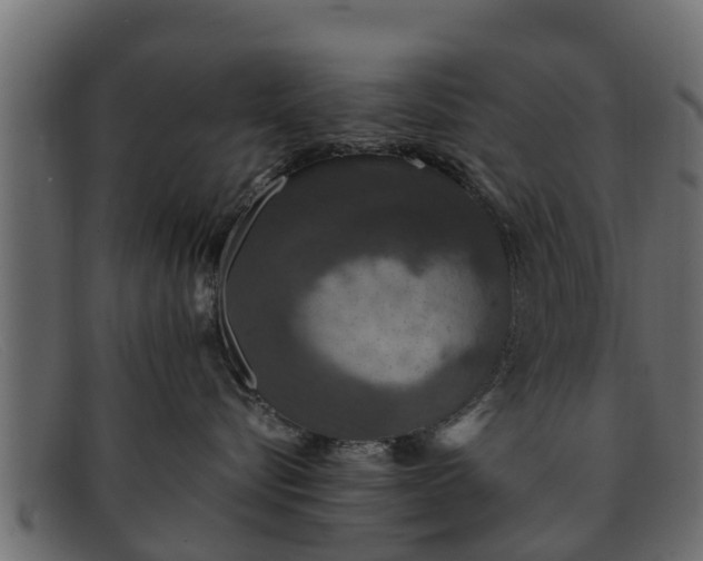 X0000091940576200709191422