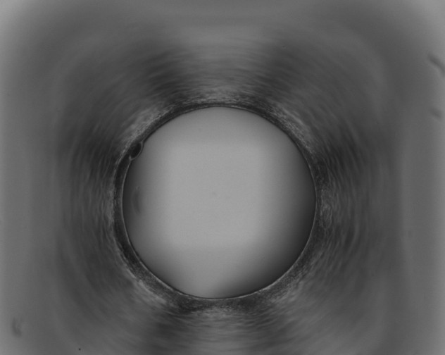 X0000091940578200709191422