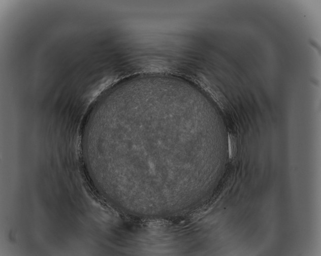 X0000091940579200709191422