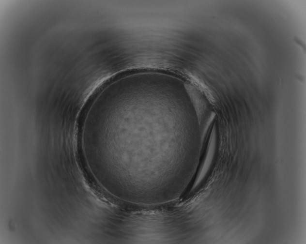 X0000091940580200709191422