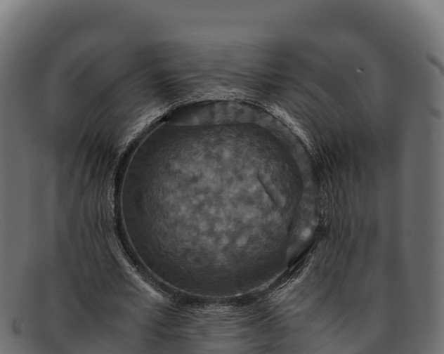 X0000091940581200709191422