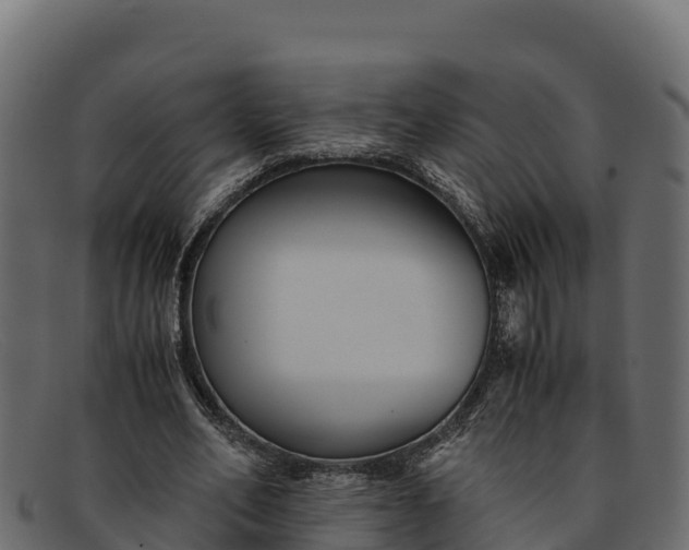 X0000091940582200709191422