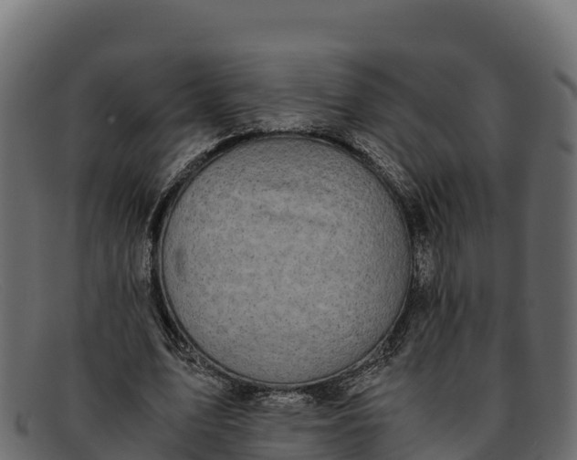 X0000091940583200709191422