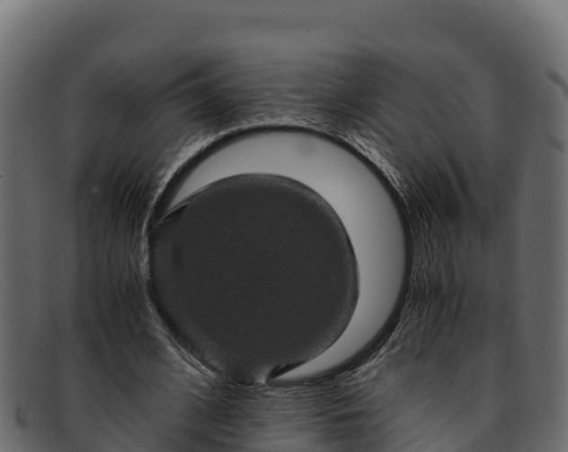 X0000091940584200709191422