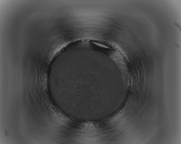 X0000091940588200709191422