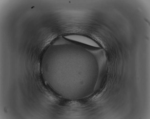 X0000091940589200709191422