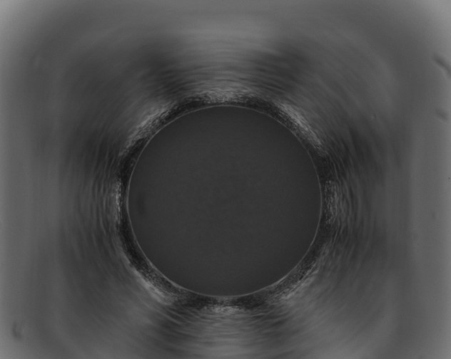 X0000091940590200709191422