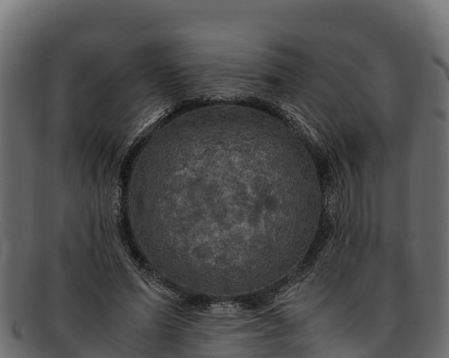 X0000091940591200709191422