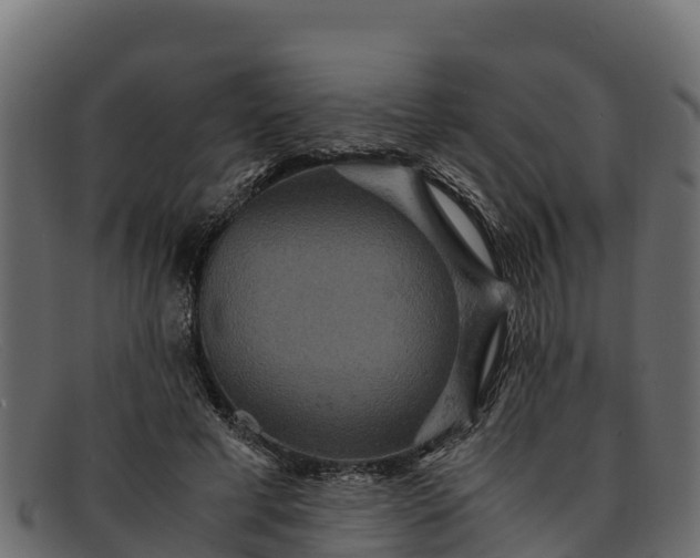 X0000091940593200709191421