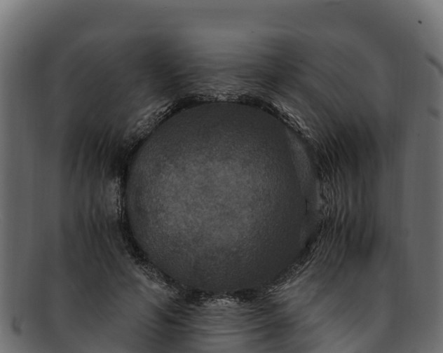 X0000091940594200709191421