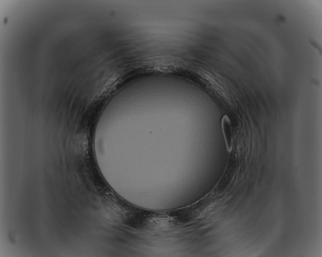 X0000091940595200709191421