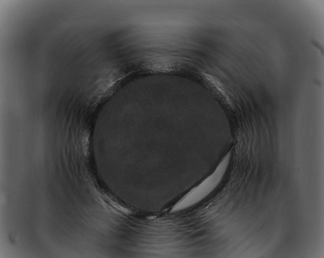 X0000091940596200709191421