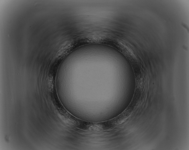 X0000091940599200709191421