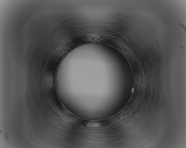 X0000091940602200709191421