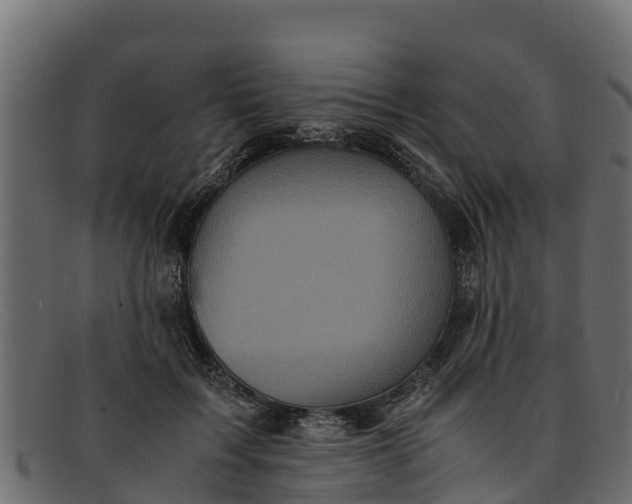 X0000091940603200709191421