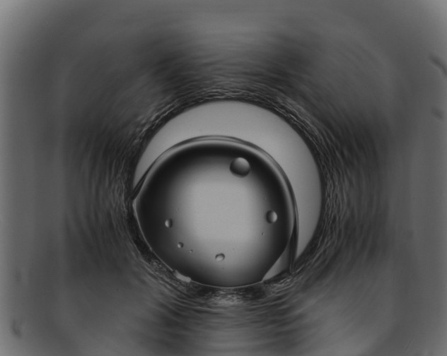 X0000091940604200709191421