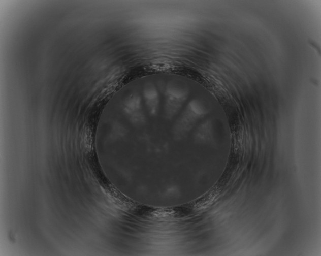 X0000091940606200709191421