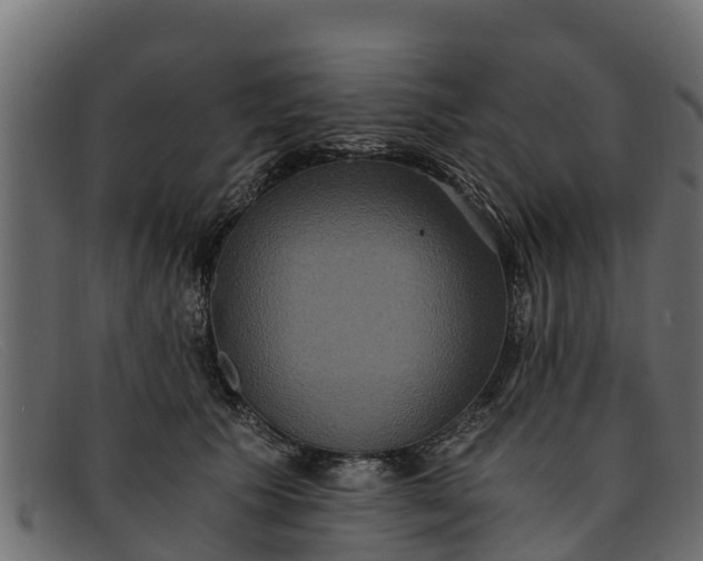 X0000091940609200709191421