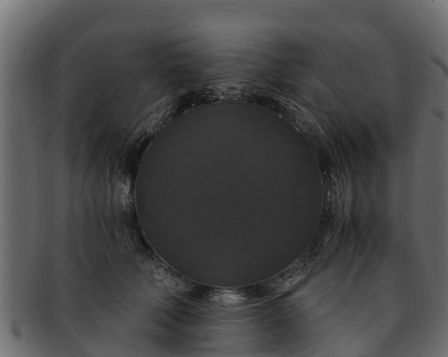 X0000091940610200709191421