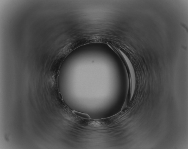 X0000091940611200709191421