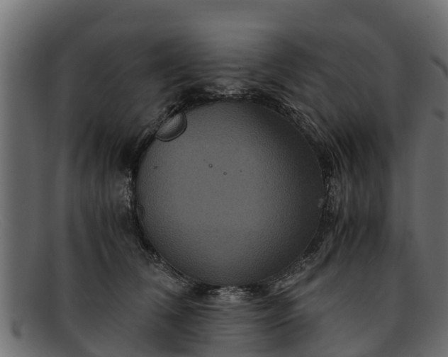 X0000091940612200709191421