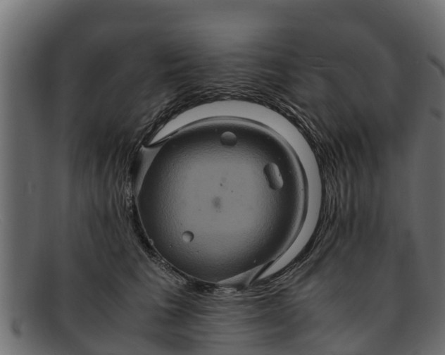 X0000091940613200709191421