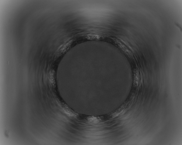 X0000091940616200709191421