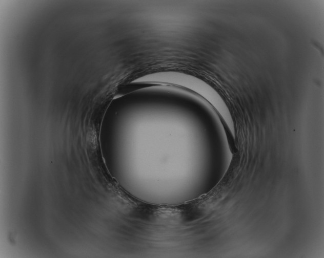 X0000091940617200709191421