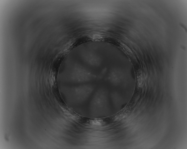 X0000091940618200709191421