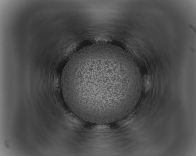 X0000091940619200709191421