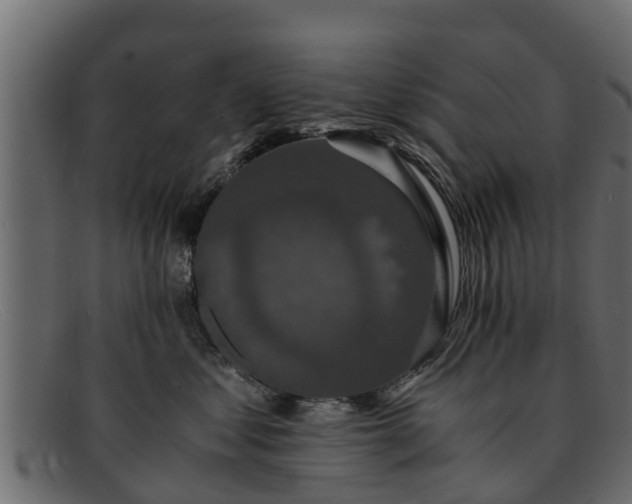 X0000091940621200709191421