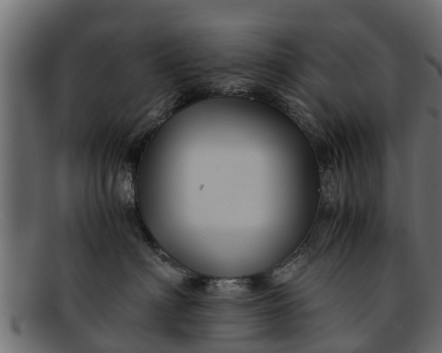 X0000091940622200709191421