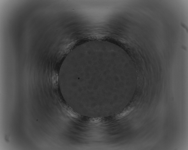 X0000091940624200709191421