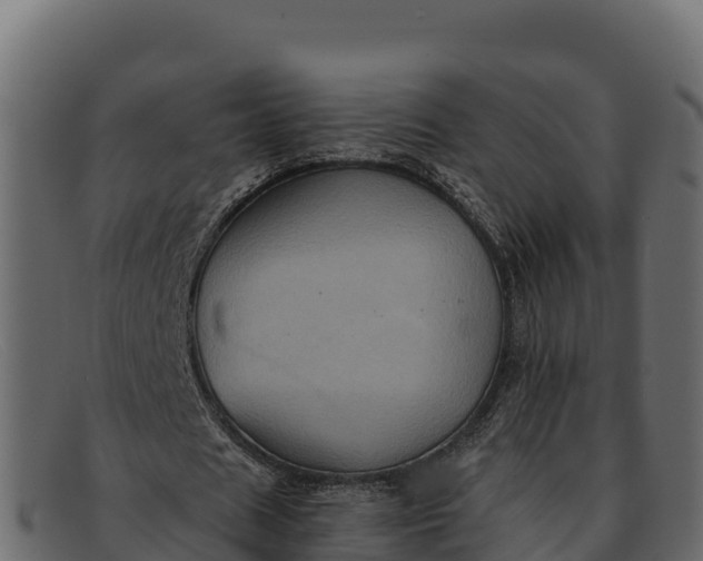 X0000091940625200709191421