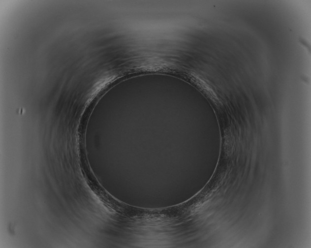 X0000091940626200709191421