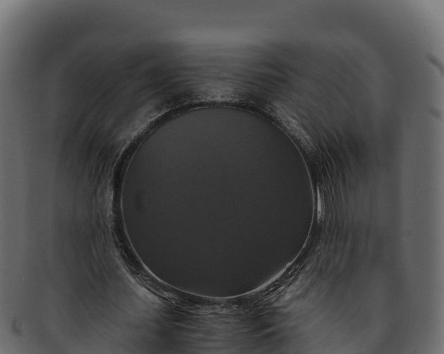 X0000091940627200709191421