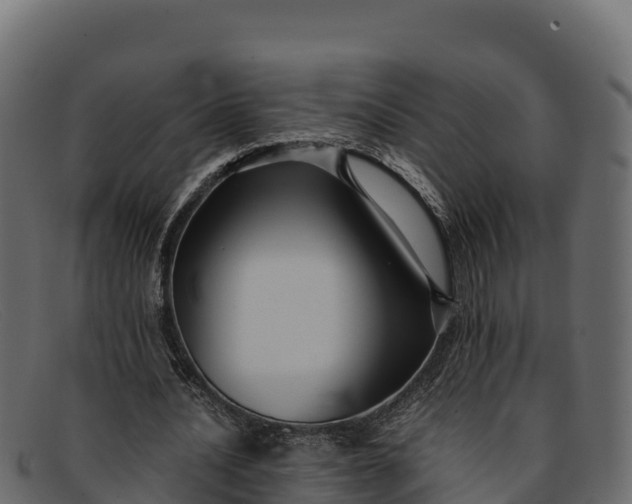 X0000091940628200709191421