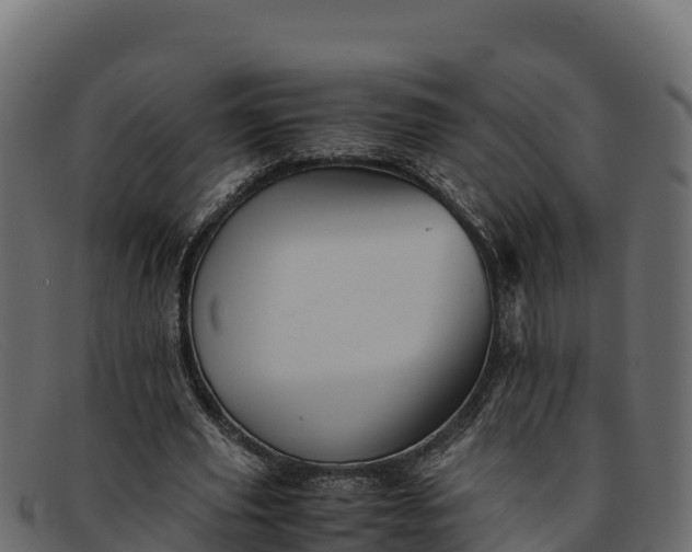 X0000091940629200709191421