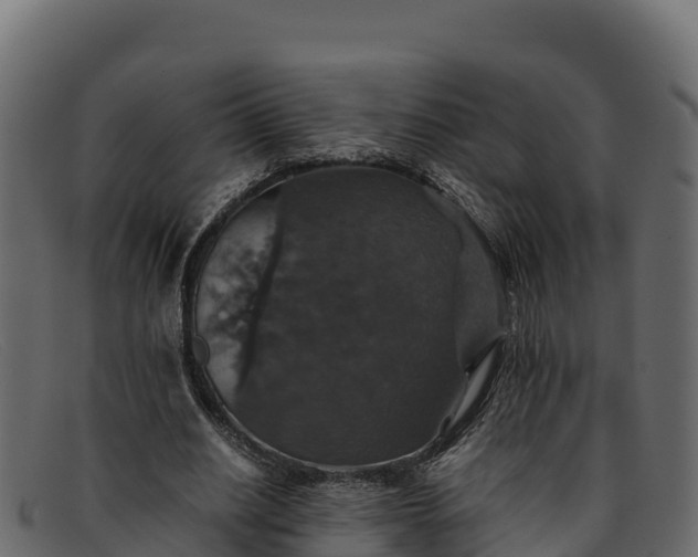 X0000091940630200709191421