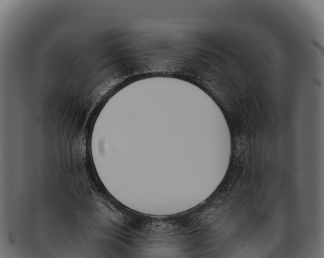 X0000091940632200709191421