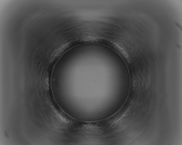 X0000091940633200709191421