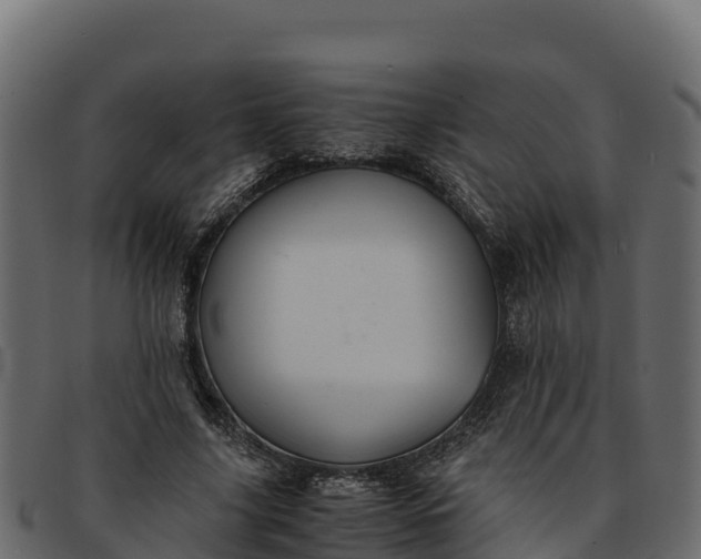 X0000091940635200709191421