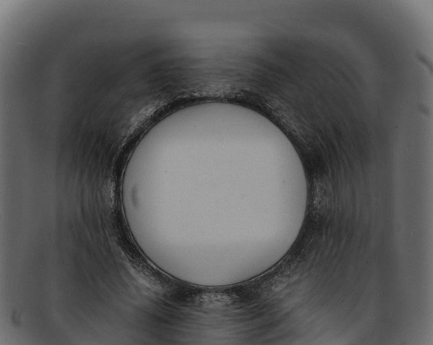 X0000091940636200709191421