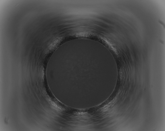 X0000091940637200709191421