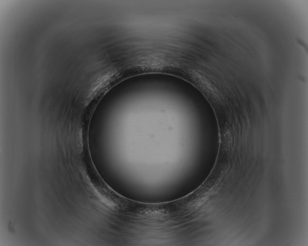 X0000091940638200709191421