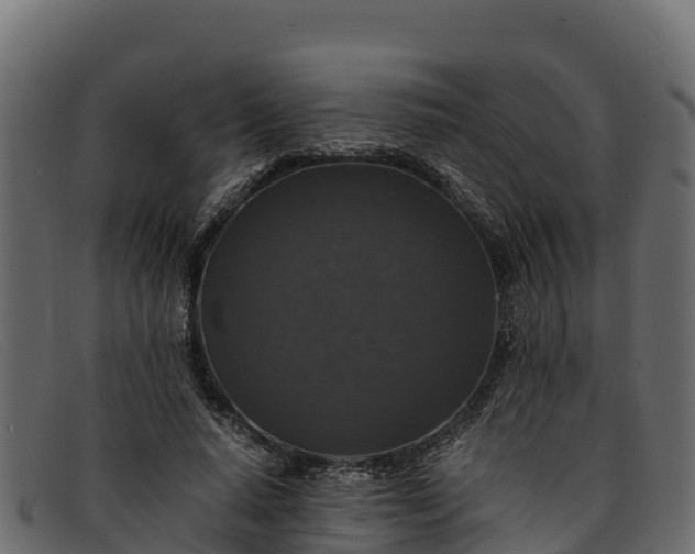 X0000091940640200709191421