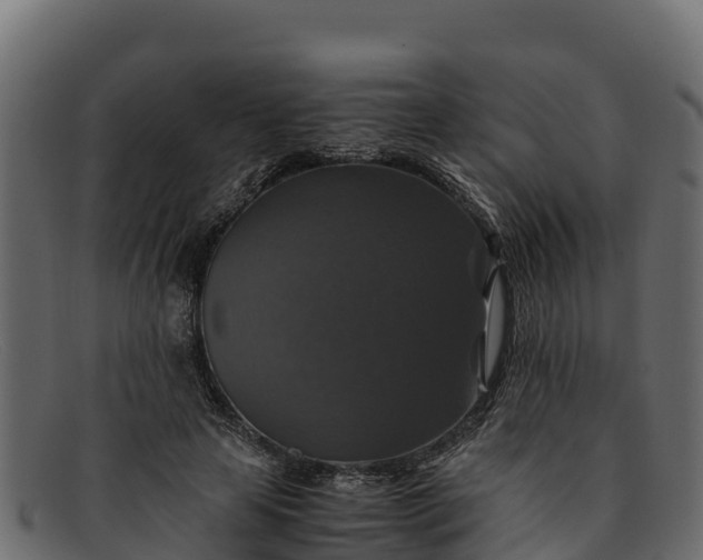 X0000091940641200709191421