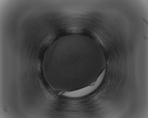 X0000091940643200709191421