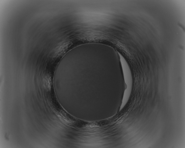 X0000091940644200709191421